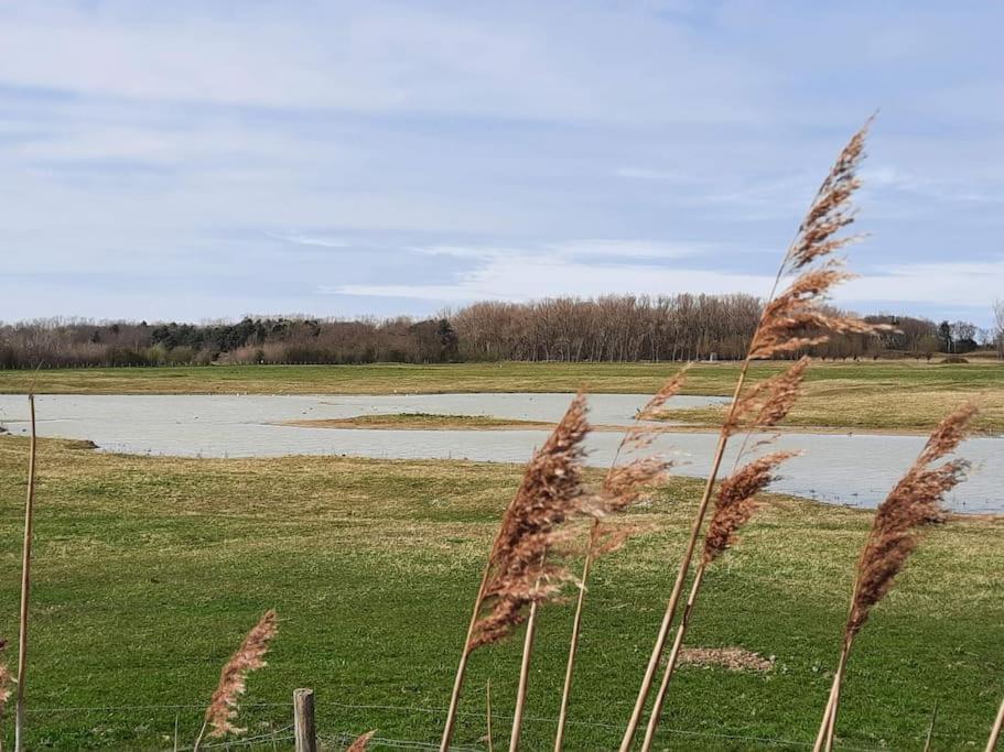 Knap Gerenoveerd Huis In Het Pittoreske Cadzand